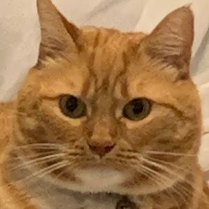 Meet your Posher, Casey